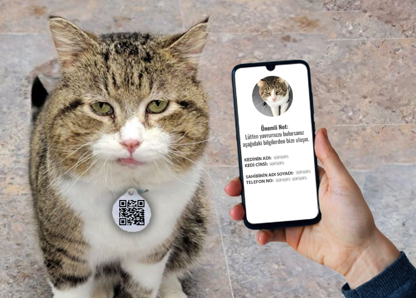 Qr Kedi